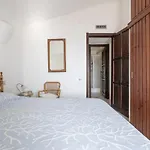 Dei Tramonti *